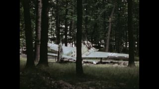 Link to Video