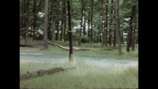 Link to Video
