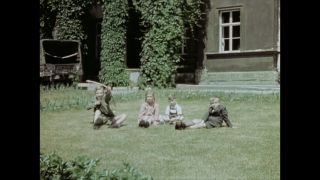 Link to Video