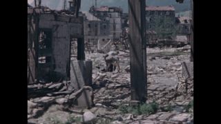 Link to Video