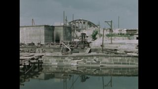 Link to Video