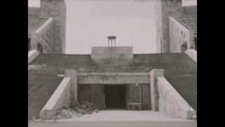 Link to Video