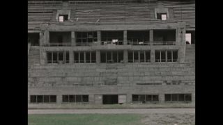 Link to Video
