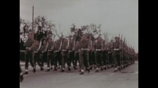 Link to Video