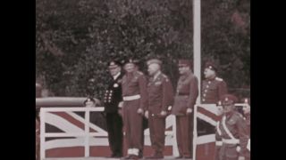 Link to Video