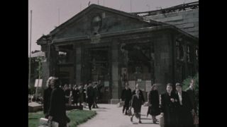 Link to Video