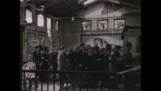 Link to Video
