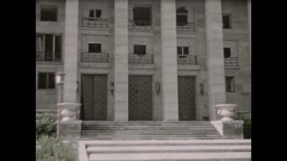 Link to Video