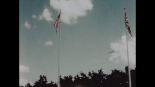 Link to Video