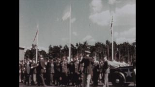 Link to Video