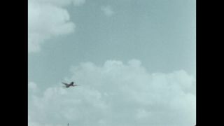 Link to Video