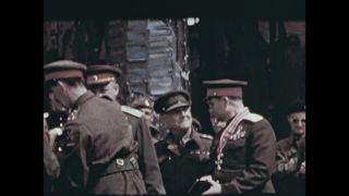 Link to Video | personality