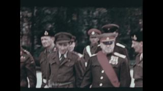 Link to Video | personality