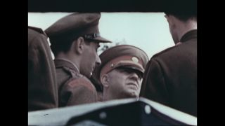 Link to Video | personality