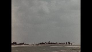 Link to Video