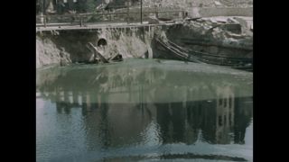 Link to Video