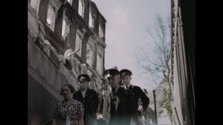 Link to Video