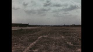 Link to Video