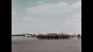 Link to Video
