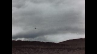 Link to Video