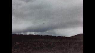 Link to Video