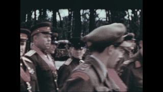 Link to Video | personality