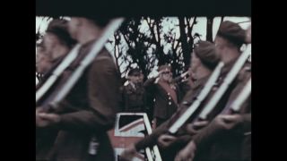 Link to Video | personality