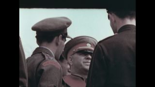 Link to Video | personality