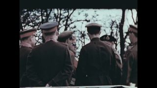Link to Video | personality