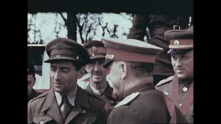 Link to Video | personality