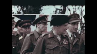Link to Video | personality