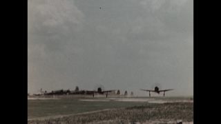 Link to Video