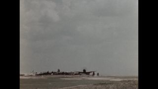 Link to Video