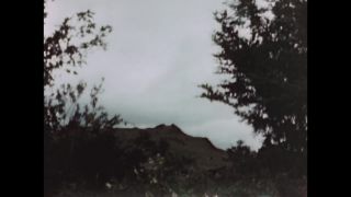 Link to Video