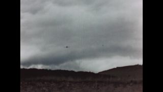 Link to Video