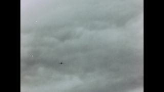 Link to Video
