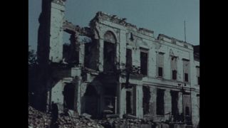 Link to Video