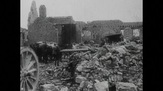 Link to Video | black and white