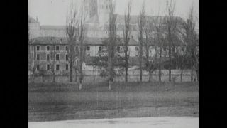 Link to Video | black and white