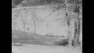 Link to Video | black and white