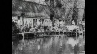 Link to Video | black and white