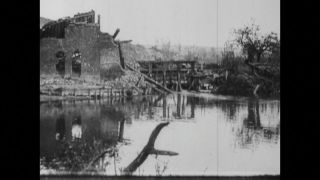 Link to Video | black and white