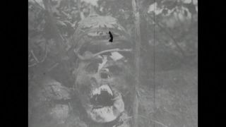 Link to Video | black and white