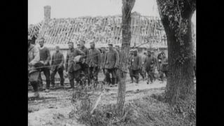 Link to Video | black and white