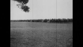 Link to Video | black and white