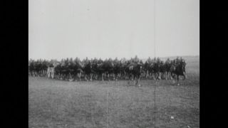 Link to Video | black and white