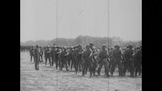 Link to Video | black and white