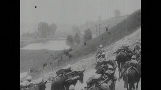 Link to Video | black and white