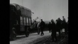 Link to Video | black and white