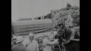 Link to Video | black and white